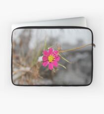 #nature #flower #outdoors #leaf #summer #garden #bright #growth #season #horizontal #colorimage #nopeople #plant #colors #closeup #fragile #day Laptop Sleeve