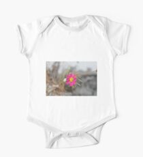 #nature #flower #outdoors #leaf #summer #garden #bright #growth #season #horizontal #colorimage #nopeople #plant #colors #closeup #fragile #day One Piece - Short Sleeve