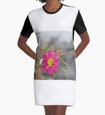 #nature #flower #outdoors #leaf #summer #garden #bright #growth #season #horizontal #colorimage #nopeople #plant #colors #closeup #fragile #day Graphic T-Shirt Dress
