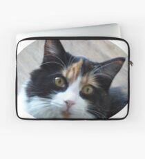 Calico pussy flea Laptop Sleeve