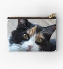 Puce chatte calicot Pochette