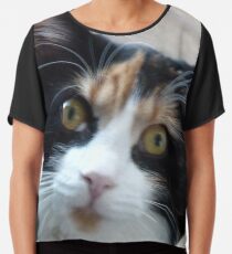 Puce chatte calicot Top mousseline