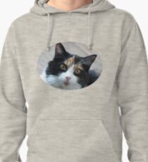 Puce chatte calicot Sweat à capuche