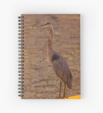 Big Blue Heron - Rideau River Spiral Notebook