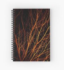 Forest For The Trees Spiral Notebook