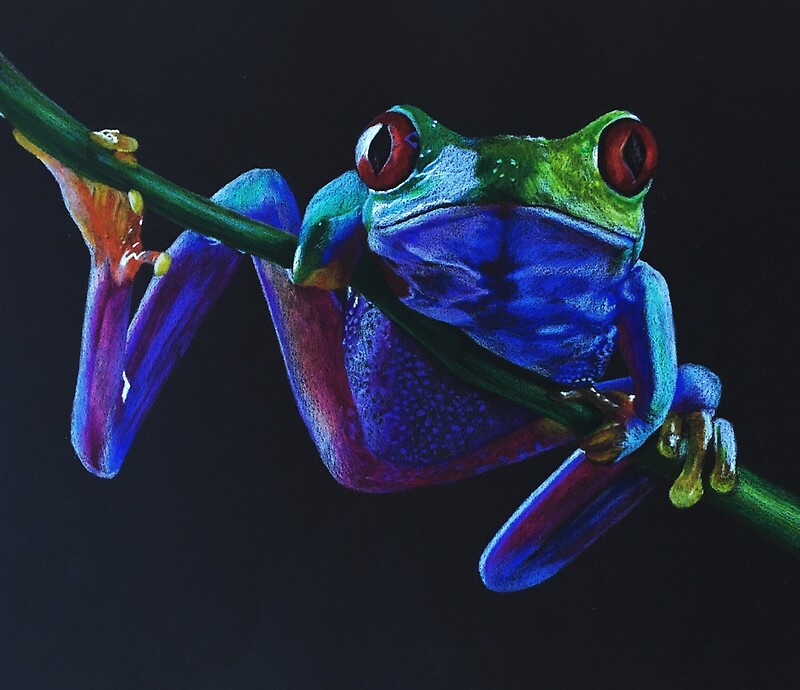 "Rainforest Tree Frog Colored Pencil Drawing" by MaiaJak Redbubble