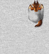 Wings of Fire - Clay Pocket Dragon Kids Pullover Hoodie