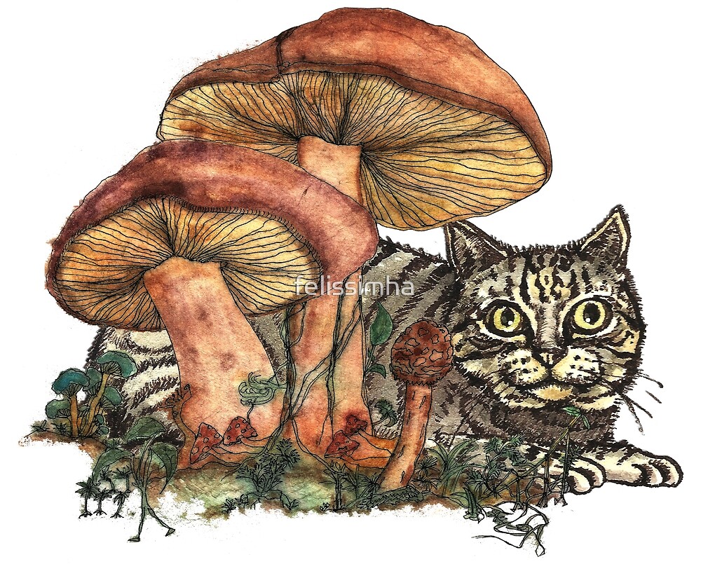 mushroom jelly cat