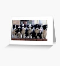 A chorus line Greeting Card