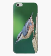 Upsidedown nuthatch iPhone Case