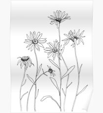 Gänseblümchen Poster