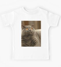 Britisch Kurzhaar blau Kinder T-Shirt