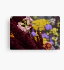 letzte Blume Metallbild