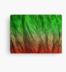 Beach sand. Canvas Print