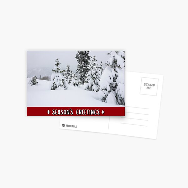 Winter Mountains and Forest Holiday Card Postcard