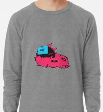 Sudadera ligera Gato malo(?)