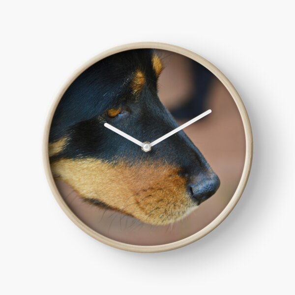 My name is Gem, how do you do! Clock