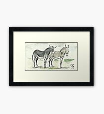 "Sardinian donkeys" Framed Print
