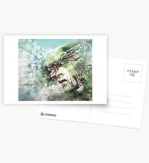 Laav Postcards