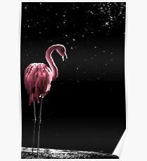 Flamingo in Pink Poster