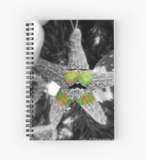 Starfish Christmas Ornament Spiralblock