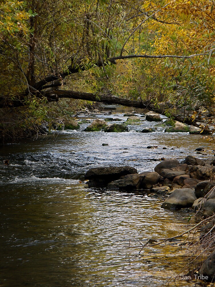 "Ogden River in October Ogden River Parkway, Utah" by Jan Tribe