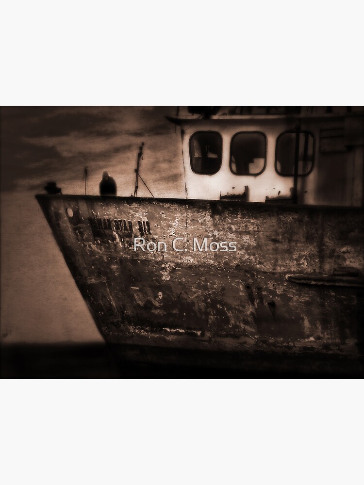 Tamar Star 2 by ronmoss