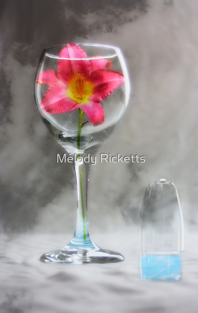 "Wine Glass Vase" by Melody Ricketts Redbubble