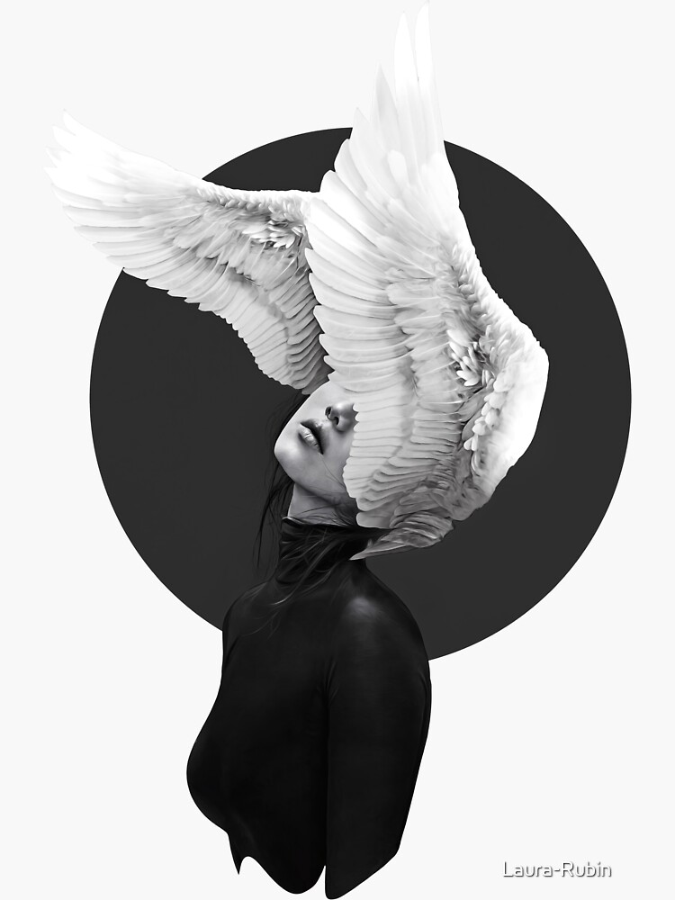 The Swan by Laura-Rubin