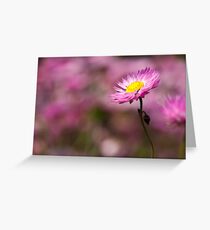 Springtime Greeting Card