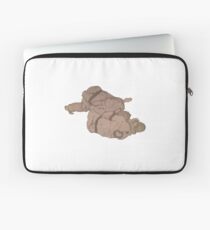 BJJ - passing the guard Laptop Sleeve