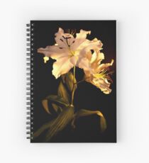 Cuaderno de espiral Belonging to angels
