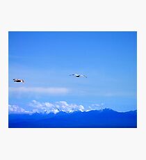 Soaring Photographic Print