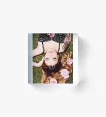 Pink Roses Acrylic Block