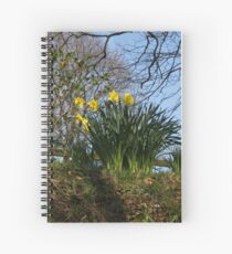 Daffodils Spiral Notebook