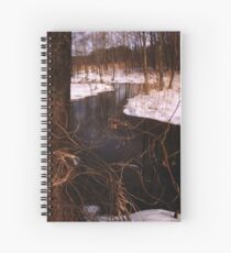 Vernal ornaments Spiral Notebook