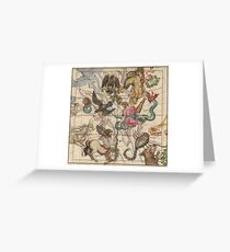 Globi coelestis in tabulas planas redacti descriptio Greeting Card