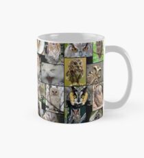 Owls Mug