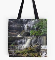 Tree Stump at Somersby Falls Tote Bag