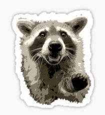 Raccoon Sticker