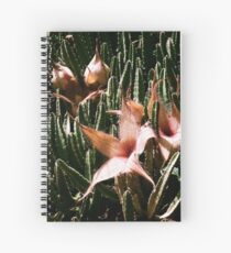 Carrion Plant Spiralblock
