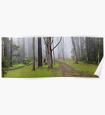 Amidst Mountain Ash Poster