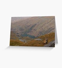 Untitled Greeting Card