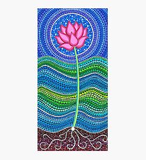 Lotus Growing Photographic Print