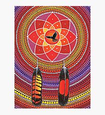 Red Tailed Black Cockatoo Dreamcatcher Photographic Print
