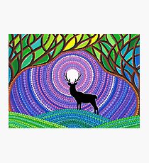 A Silent Visitor Photographic Print