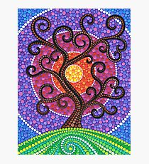 Spiralling Tree of Life Photographic Print
