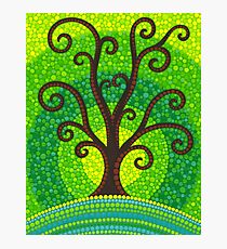 unfurling tree of lushiousness Photographic Print