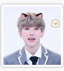 Cai Xukun Kitty Kat Sticker