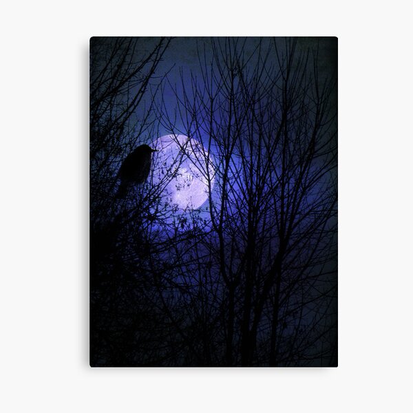 Winter's Moonglow Canvas Print